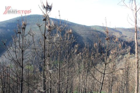 Helårsgrund i Arouca, Aveiro, Arouca - € 35.000 | Ref: 12154 - foto 6