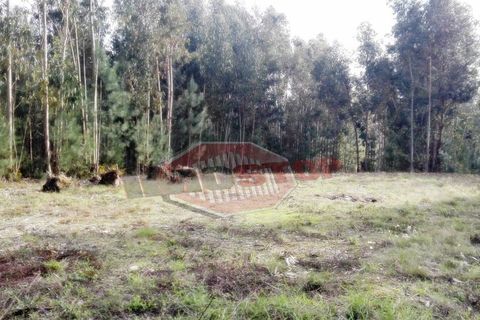 Helårsgrund i Oliveira do Bairro, Aveiro, Oliveira do Bairro - € 42.500 | Ref: 33026 - foto 2
