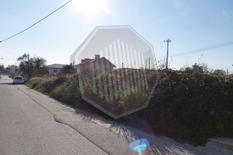 Helårsgrund i Agueda, Aveiro, Agueda - € 50.000 | Ref: 11369 - foto 3