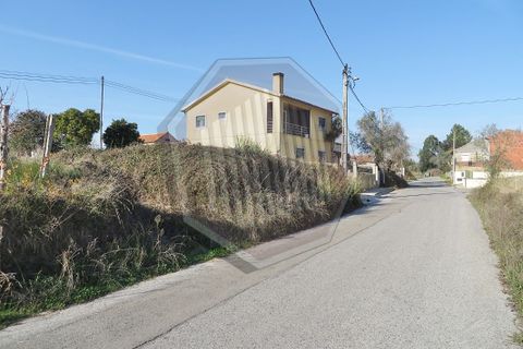 Helårsgrund i Agueda, Aveiro, Agueda - € 50.000 | Ref: 11369 - foto 4