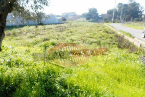Helårsgrund i Agueda, Aveiro, Agueda - € 90.000 | Ref: 33025 - foto 3