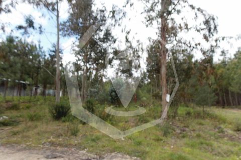 Helårsgrund i Oliveira do Bairro, Aveiro, Oliveira do Bairro - € 32.000 | Ref: 33101 - foto 2