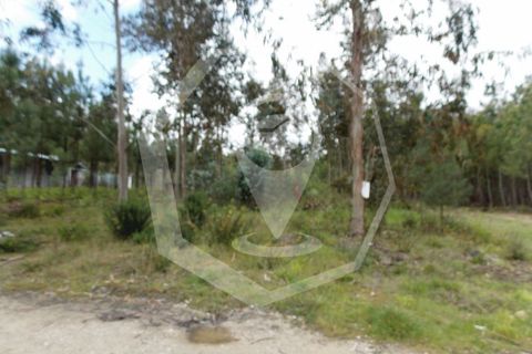 Helårsgrund i Oliveira do Bairro, Aveiro, Oliveira do Bairro - € 32.000 | Ref: 33101 - foto 3