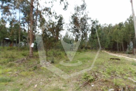 Helårsgrund i Oliveira do Bairro, Aveiro, Oliveira do Bairro - € 32.000 | Ref: 33101 - foto 5