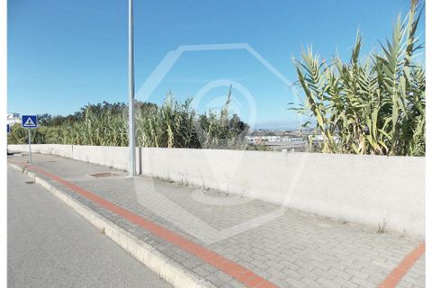 Helårsgrund i Oliveira do Bairro, Aveiro, Oliveira do Bairro - € 300.000 | Ref: 33118 - foto 1