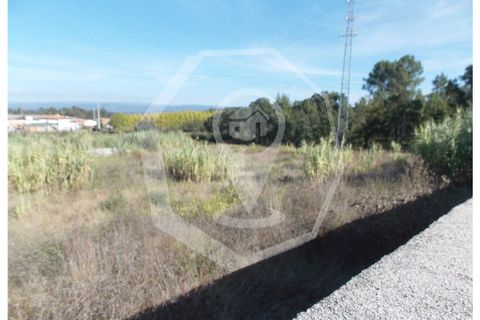 Helårsgrund i Oliveira do Bairro, Aveiro, Oliveira do Bairro - € 300.000 | Ref: 33118 - foto 3