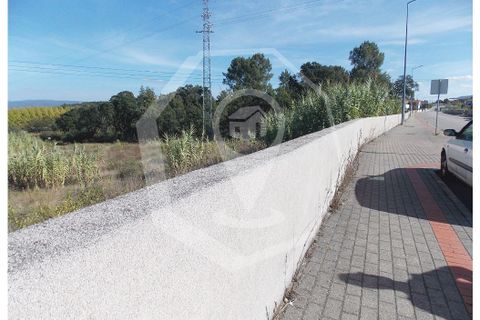 Helårsgrund i Oliveira do Bairro, Aveiro, Oliveira do Bairro - € 300.000 | Ref: 33118 - foto 4