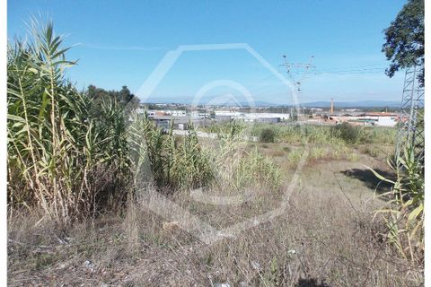 Helårsgrund i Oliveira do Bairro, Aveiro, Oliveira do Bairro - € 300.000 | Ref: 33118 - foto 6