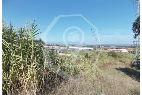 Helårsgrund i Oliveira do Bairro, Aveiro, Oliveira do Bairro - € 300.000 | Ref: 33118 - foto 7
