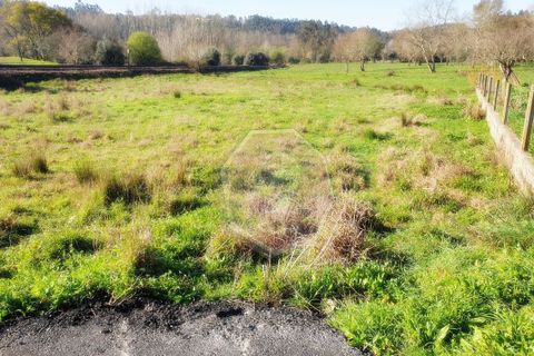 Helårsgrund i Agueda, Aveiro, Agueda - € 60.000 | Ref: 32014 - foto 2