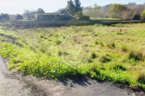 Helårsgrund i Agueda, Aveiro, Agueda - € 60.000 | Ref: 32014 - foto 3