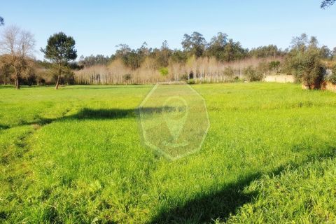 Helårsgrund i Agueda, Aveiro, Agueda - € 60.000 | Ref: 32014 - foto 4