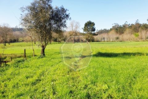 Helårsgrund i Agueda, Aveiro, Agueda - € 60.000 | Ref: 32014 - foto 5