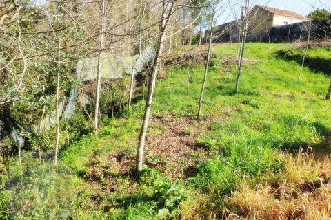 Helårsgrund i Agueda, Aveiro, Agueda - € 18.000 | Ref: 31108 - foto 5