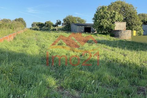 Helårsgrund i Aveiro, Aveiro, Aveiro - € 40.000 | Ref: 11014 - foto 2