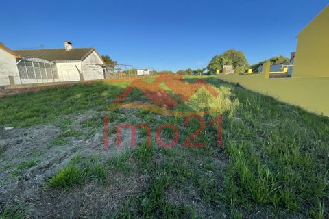 Helårsgrund i Aveiro, Aveiro, Aveiro - € 40.000 | Ref: 11014 - foto 6