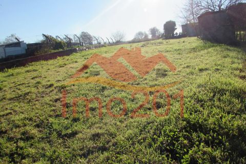 Helårsgrund i Aveiro, Aveiro, Aveiro - € 40.000 | Ref: 11014 - foto 5