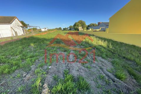 Helårsgrund i Aveiro, Aveiro, Aveiro - € 40.000 | Ref: 11014 - foto 16
