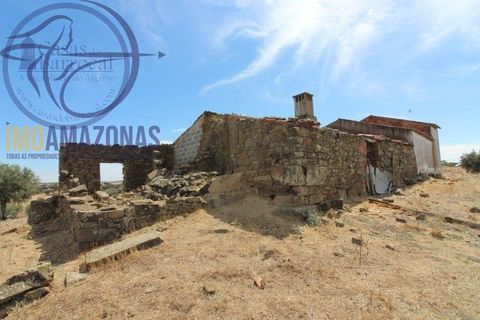 Terra a Almodovar, Beja, Almodovar - € 199.000 | Ref: 01-364 - foto 3