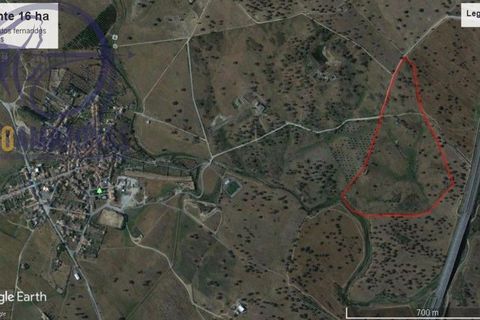 Terra a Almodovar, Beja, Almodovar - € 199.000 | Ref: 01-364 - foto 6