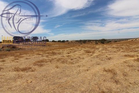 Terra a Almodovar, Beja, Almodovar - € 199.000 | Ref: 01-364 - foto 7