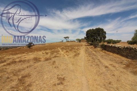 Terra a Almodovar, Beja, Almodovar - € 199.000 | Ref: 01-364 - foto 8