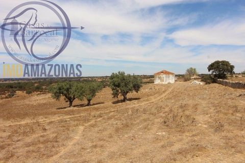 Terra a Almodovar, Beja, Almodovar - € 199.000 | Ref: 01-364 - foto 11