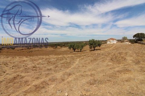 Terra a Almodovar, Beja, Almodovar - € 199.000 | Ref: 01-364 - foto 12