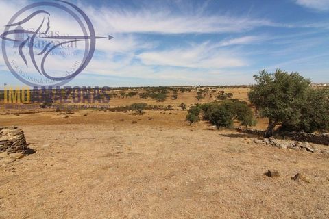 Terra a Almodovar, Beja, Almodovar - € 199.000 | Ref: 01-364 - foto 14