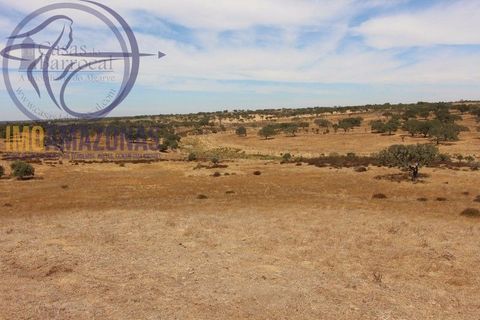 Terra a Almodovar, Beja, Almodovar - € 199.000 | Ref: 01-364 - foto 15