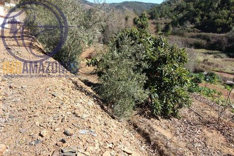 Villa i Monchique, Faro, Monchique - € 120.000 | Ref: 06-364 - foto 3