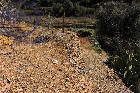 Villa i Monchique, Faro, Monchique - € 120.000 | Ref: 06-364 - foto 5