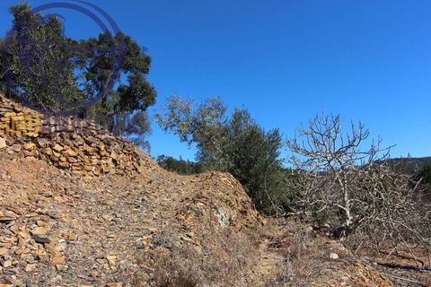 Villa i Monchique, Faro, Monchique - € 120.000 | Ref: 06-364 - foto 6
