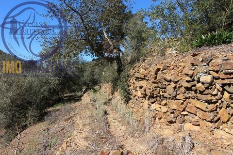 Villa i Monchique, Faro, Monchique - € 120.000 | Ref: 06-364 - foto 8