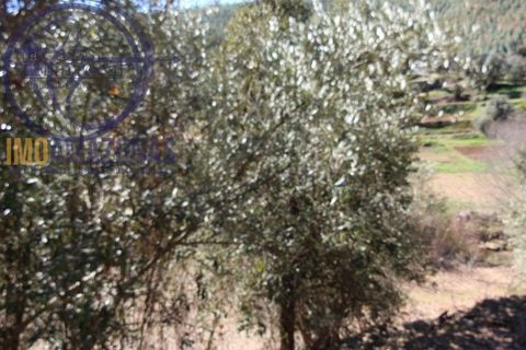Villa i Monchique, Faro, Monchique - € 120.000 | Ref: 06-364 - foto 9