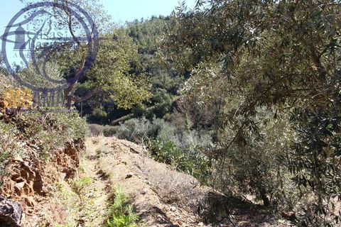 Villa i Monchique, Faro, Monchique - € 120.000 | Ref: 06-364 - foto 10