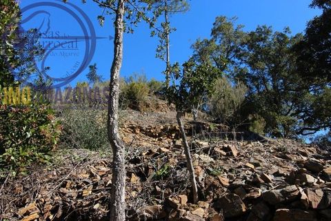 Villa i Monchique, Faro, Monchique - € 120.000 | Ref: 06-364 - foto 11