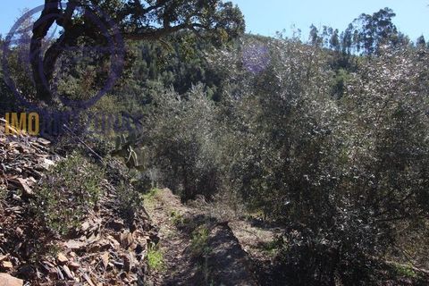 Villa i Monchique, Faro, Monchique - € 120.000 | Ref: 06-364 - foto 12