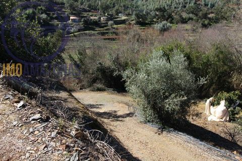 Villa i Monchique, Faro, Monchique - € 120.000 | Ref: 06-364 - foto 14