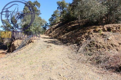 Villa i Monchique, Faro, Monchique - € 120.000 | Ref: 06-364 - foto 16