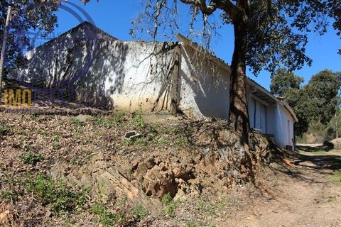 Villa i Monchique, Faro, Monchique - € 375.000 | Ref: 06-365 - foto 11