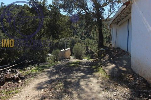 Villa i Monchique, Faro, Monchique - € 375.000 | Ref: 06-365 - foto 15