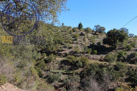 Villa i Monchique, Faro, Monchique - € 375.000 | Ref: 06-365 - foto 22