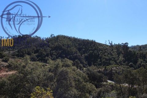 Villa i Monchique, Faro, Monchique - € 375.000 | Ref: 06-365 - foto 23