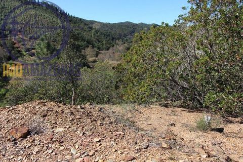 Villa i Monchique, Faro, Monchique - € 375.000 | Ref: 06-365 - foto 24