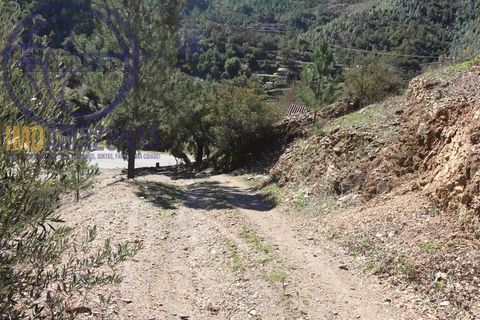 Villa i Monchique, Faro, Monchique - € 375.000 | Ref: 06-365 - foto 28