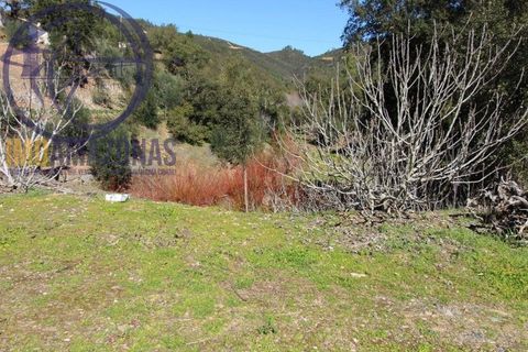 Villa i Monchique, Faro, Monchique - € 375.000 | Ref: 06-365 - foto 29