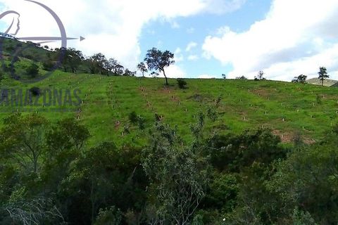 Helårsgrund i Silves, Faro, Silves - € 430.000 | Ref: 07-374 - foto 13