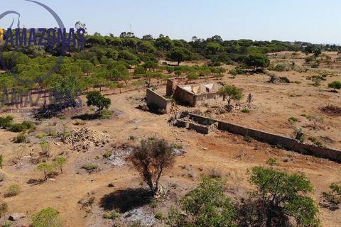 Landejendom i Lagoa, Faro, Lagoa - € 2.800.000 | Ref: 06-415 - foto 2