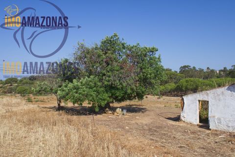 Landejendom i Lagoa, Faro, Lagoa - € 2.800.000 | Ref: 06-415 - foto 5
